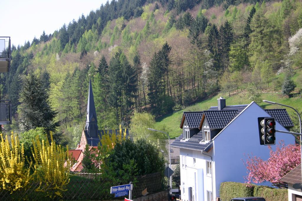Apartmenthaus "Zum Lowen" Heidelberg - Ziegelhausen Exterior photo